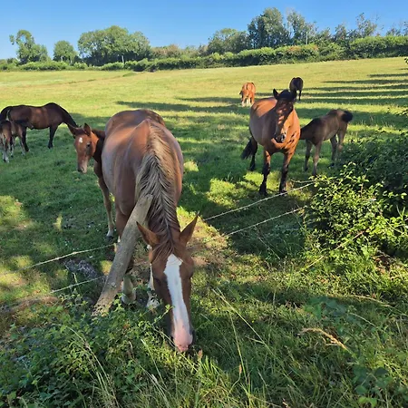 Le Moulin Du Tatil Evi