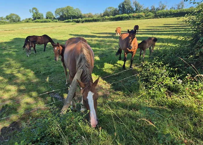 Le Moulin Du Holiday home